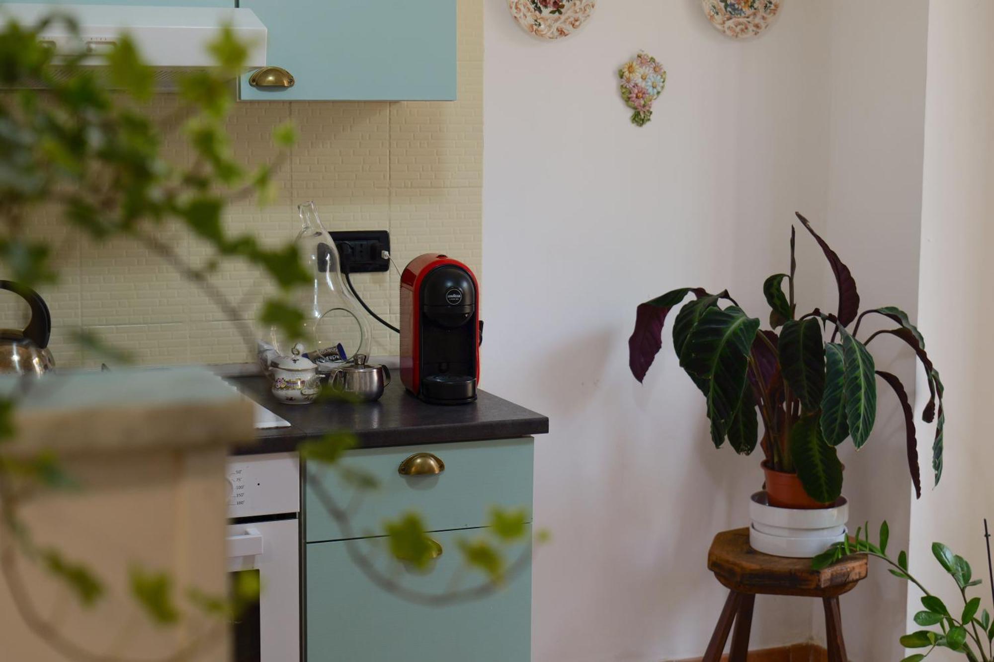 Coli'S House Bed & Breakfast Torino Eksteriør bilde