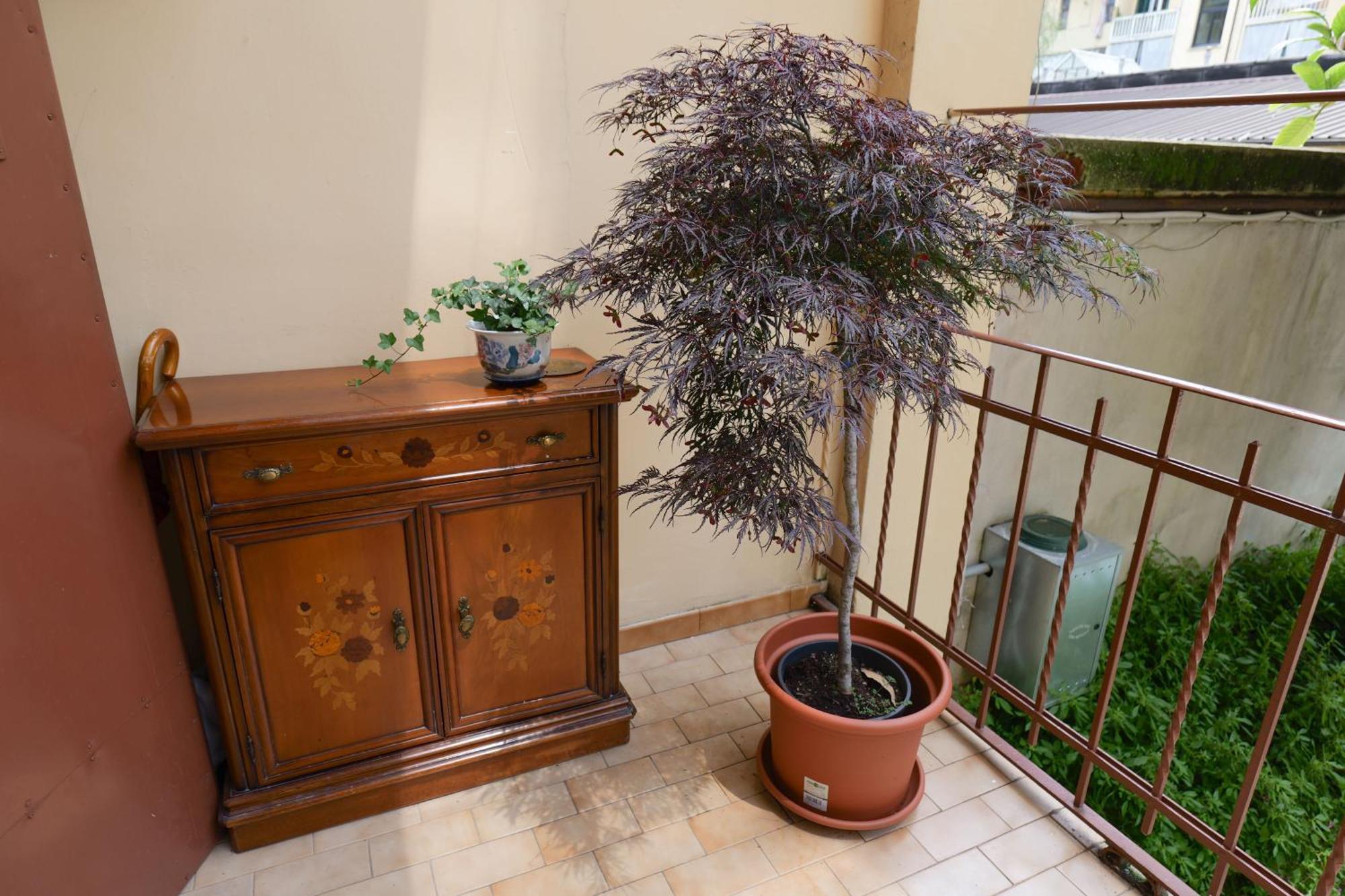 Coli'S House Bed & Breakfast Torino Eksteriør bilde